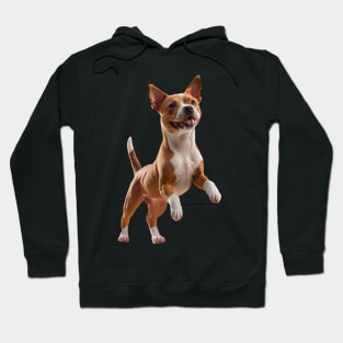 Cute and Sweet Amstaff Puppy Hoodie